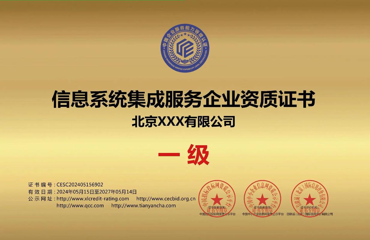 信息系统集成业务综合能力的深度认可